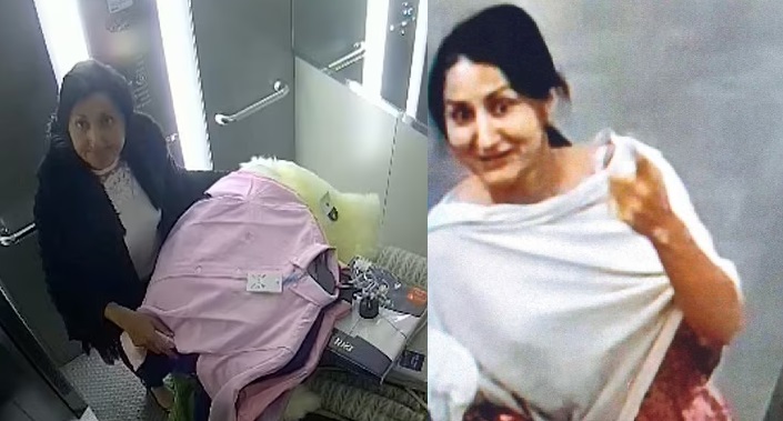 This Desi Woman Made £500K, Tricked Stores To Refund Her for Stolen Items Across UK